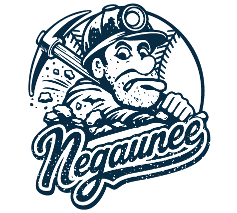 Vintage Negaunee Baseball Collection